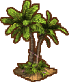 Palmtreeicon.png